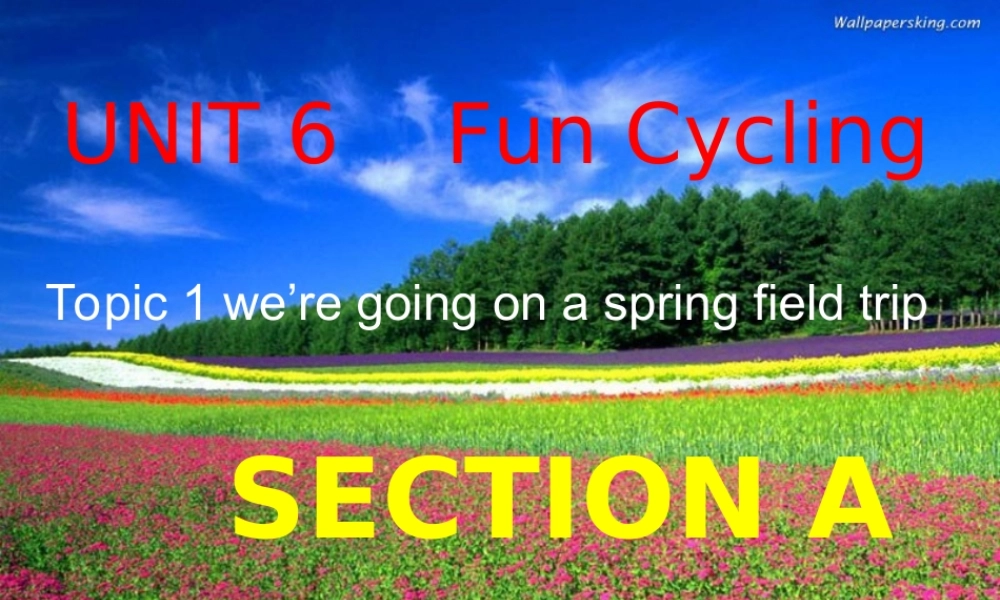 八年级英语下册 Unit 6 Enjoying Cycling Topic 1课件 仁爱版 课件