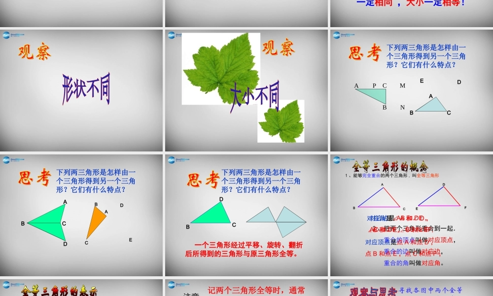 八年级数学上册 12.1 全等三角形课件 (新版)新人教版 课件-2