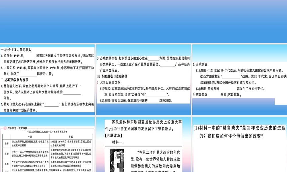九年级历史下册 第五单元 冷战和美苏对峙的世界 第18课 社会主义的发展与挫折习题课件 新人教版 课件