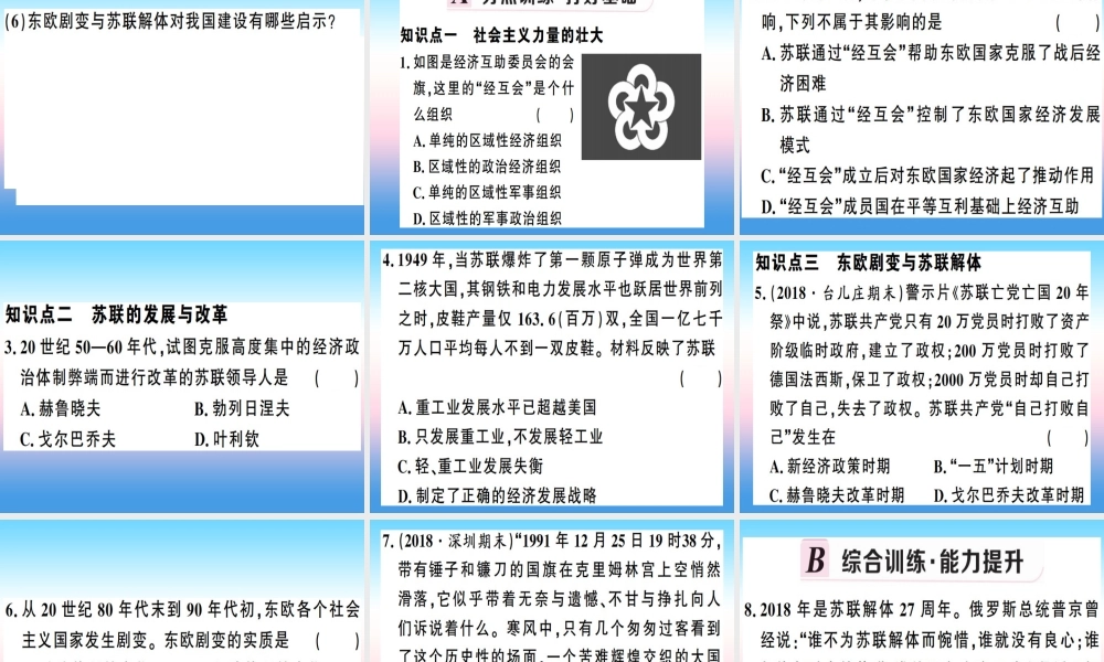 九年级历史下册 第五单元 冷战和美苏对峙的世界 第18课 社会主义的发展与挫折习题课件 新人教版 课件