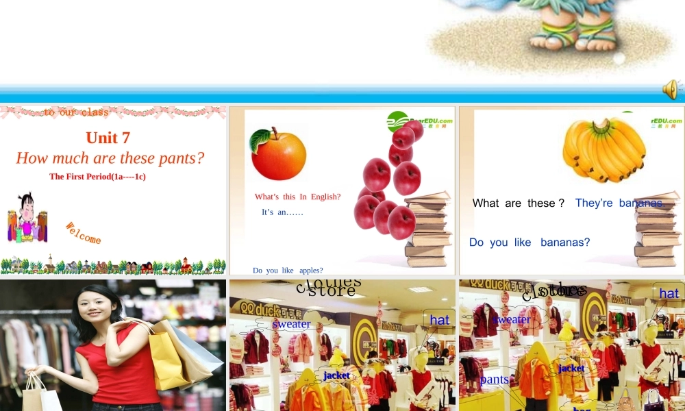 七年级英语第7单元课件人教新目标版 课件