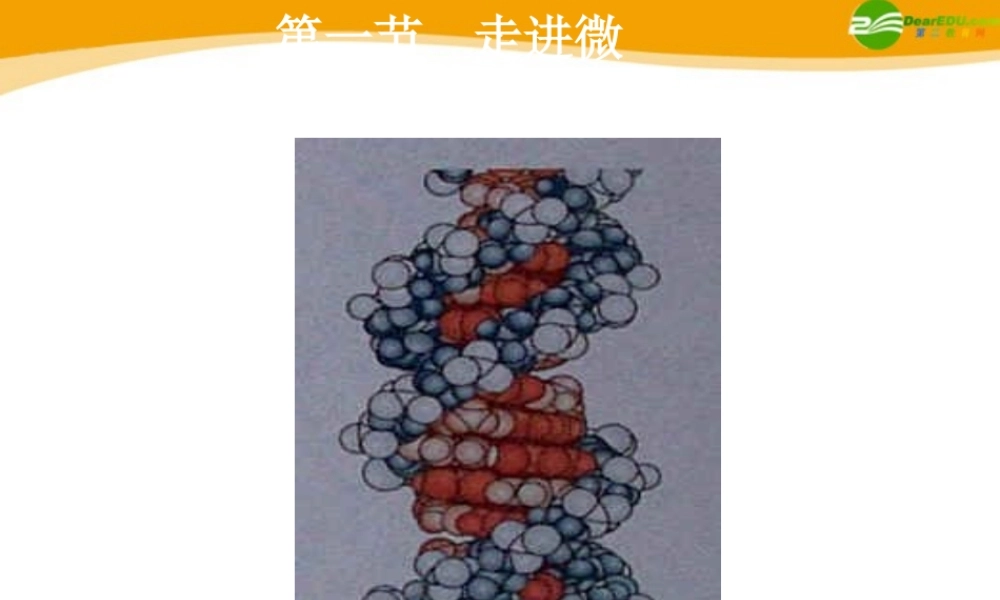 八年级物理下册 10-1( 走进微观)课件  沪科版 课件