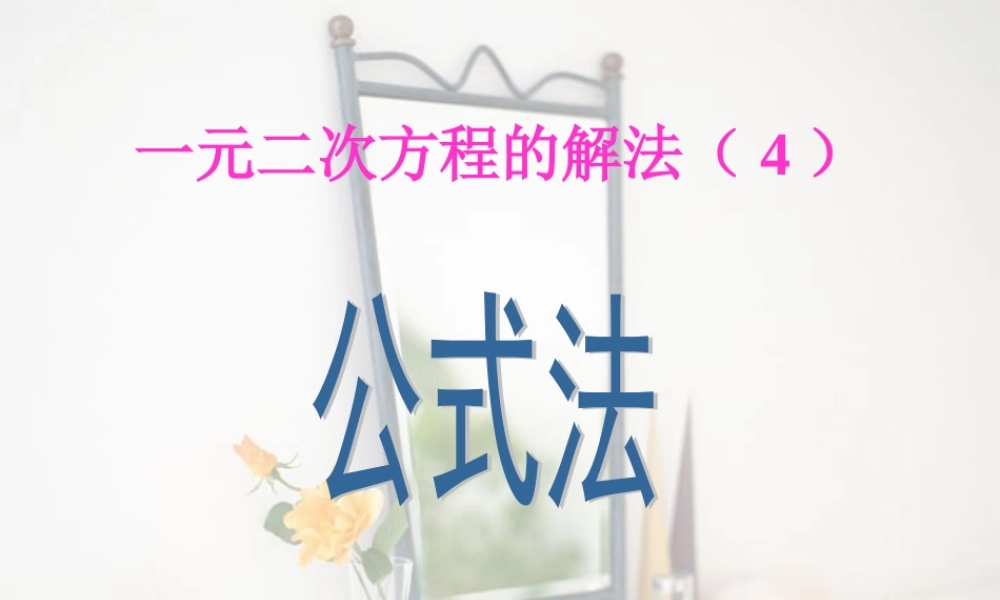 新课标中考数学复习课件 一元二次方程公式法 课件