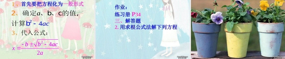 新课标中考数学复习课件 一元二次方程公式法 课件