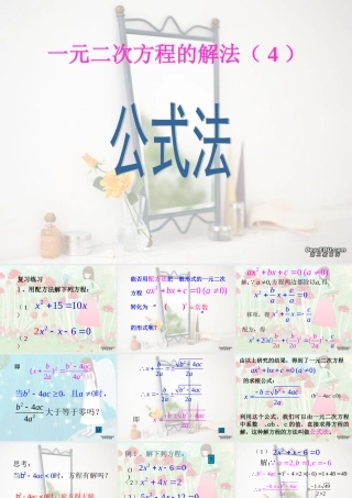 新课标中考数学复习课件 一元二次方程公式法 课件