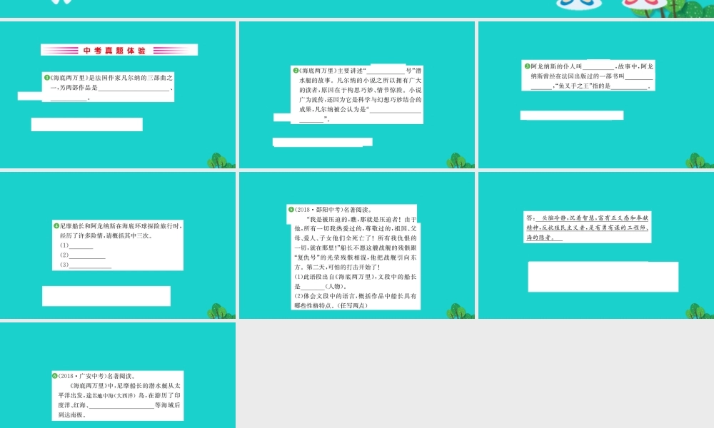 七年级语文下册 第六单元 名著导读(海底两万里)快速阅读习题课件 新人教版 课件