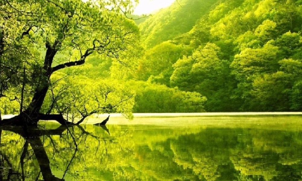 八年级物理上册 2.2 光的反射课件 新人教版 课件