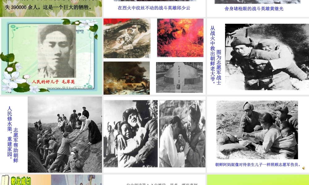 《再见了_亲人》PPT