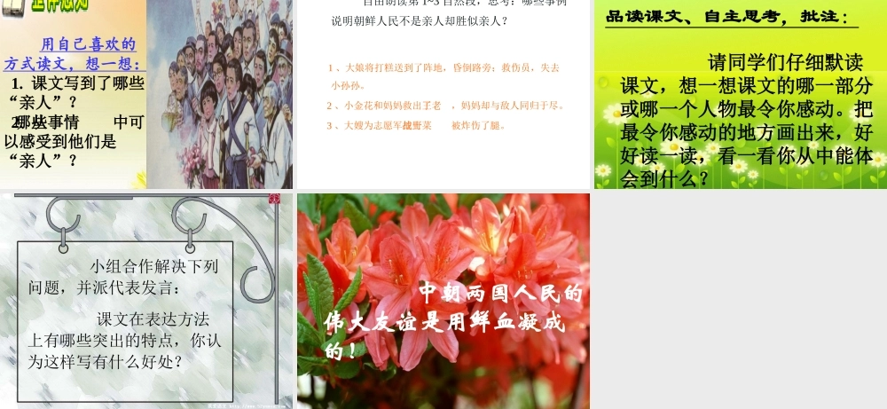 《再见了_亲人》PPT