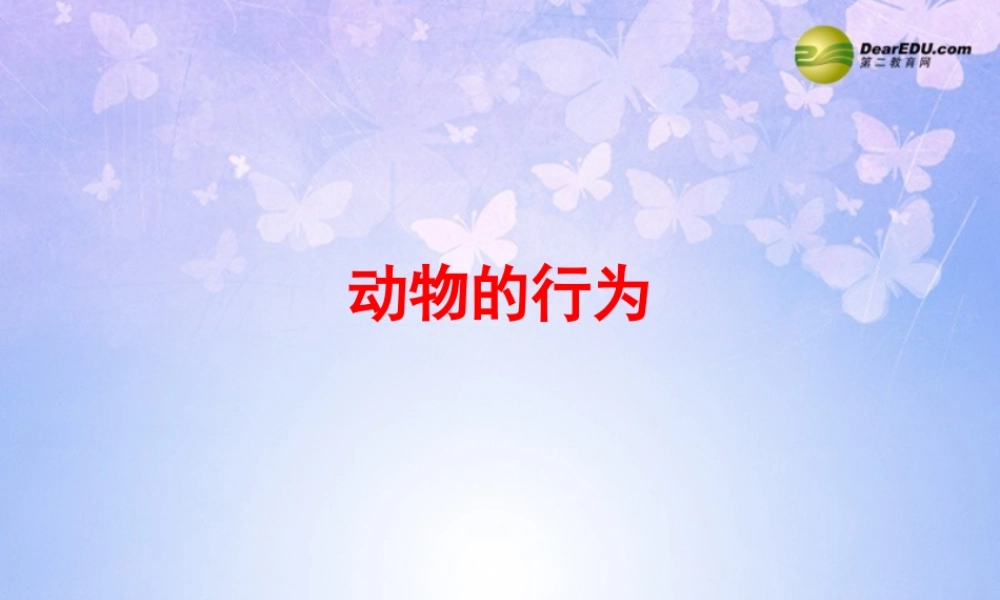 八年级生物上册 动物的行为课件 新人教版 课件