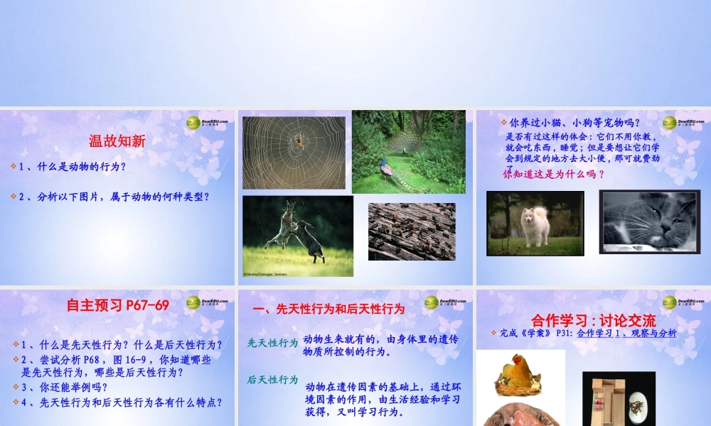 八年级生物上册 动物的行为课件 新人教版 课件