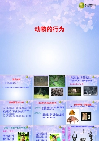 八年级生物上册 动物的行为课件 新人教版 课件