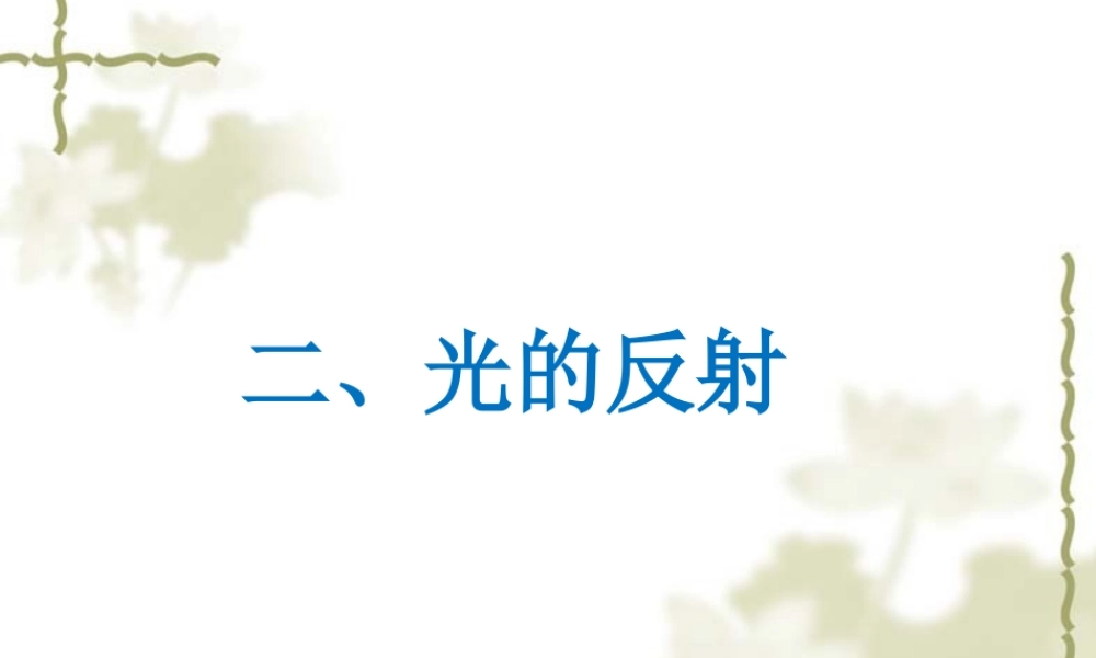 《光的反射》教学课件 (2)