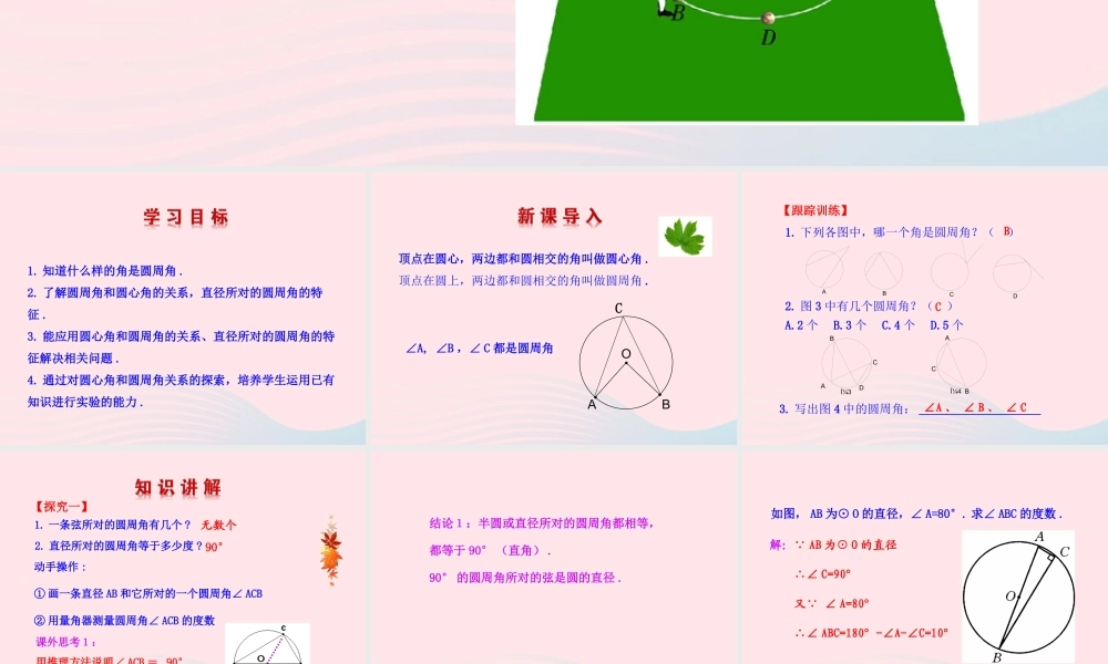 九年级数学下册 第28章圆281圆的认识 3圆周角课件 华东师大版 课件