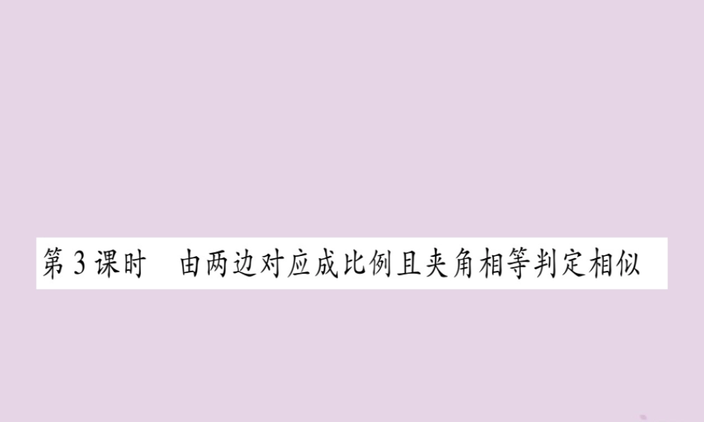 九年级数学上册 第3章 图形的相似 34 相似三角形的判定与性质 341 第3课时 作业课件 (新版)湘教版 课件