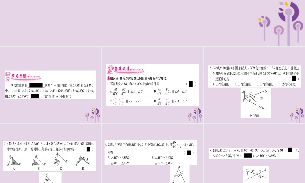 九年级数学上册 第3章 图形的相似 34 相似三角形的判定与性质 341 第3课时 作业课件 (新版)湘教版 课件