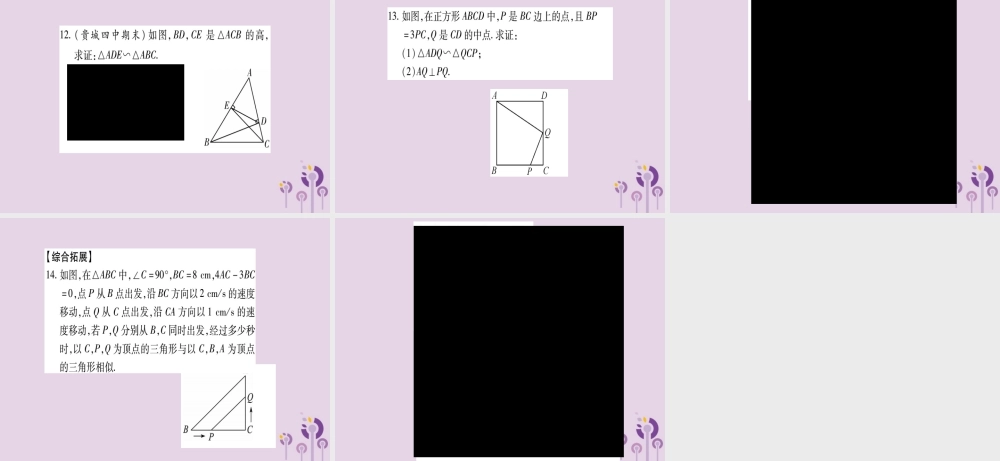 九年级数学上册 第3章 图形的相似 34 相似三角形的判定与性质 341 第3课时 作业课件 (新版)湘教版 课件