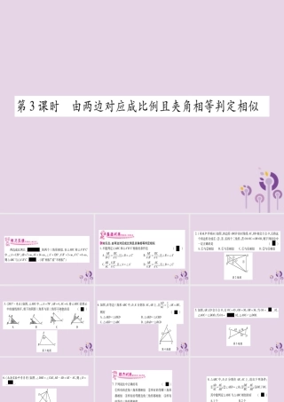 九年级数学上册 第3章 图形的相似 34 相似三角形的判定与性质 341 第3课时 作业课件 (新版)湘教版 课件