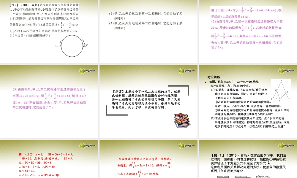 中考数学 专题 方程型综合问题题型专讲专练课件(12、13真题为例)  课件