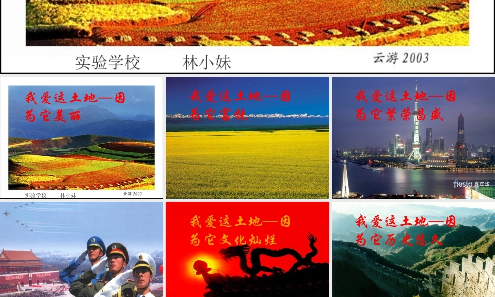 九年级语文下册(诗两首 乡秋愁 我爱这土地)优秀课件(38页) 人教新课标版 课件