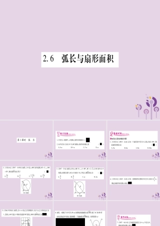 九年级数学下册 第2章 圆 26 弧长与扇形面积 第1课时 作业课件 (新版)湘教版 课件