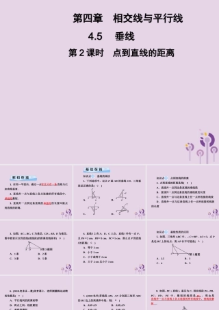 七年级数学下册 第4章(相交线与平行线)4.5 垂线 第2课时 点到直线的距离习题课件 (新版)湘教版 课件