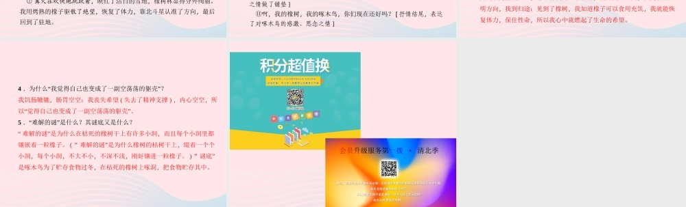 九年级语文下册 第二单元 记叙文内容的理解概括习题课件 (新版)新人教版 课件