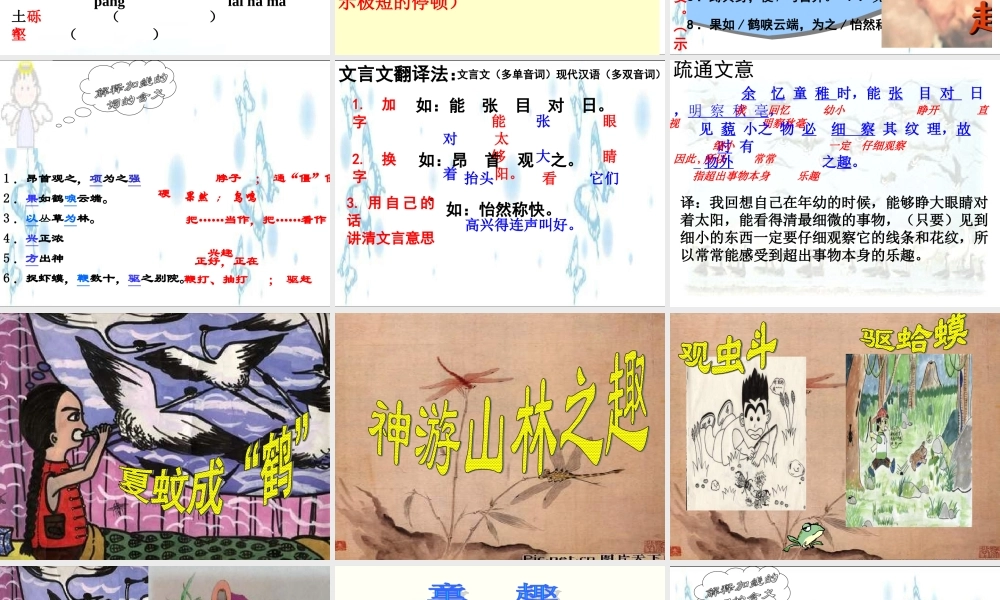 七年级语文上 童趣 课件人教版 课件