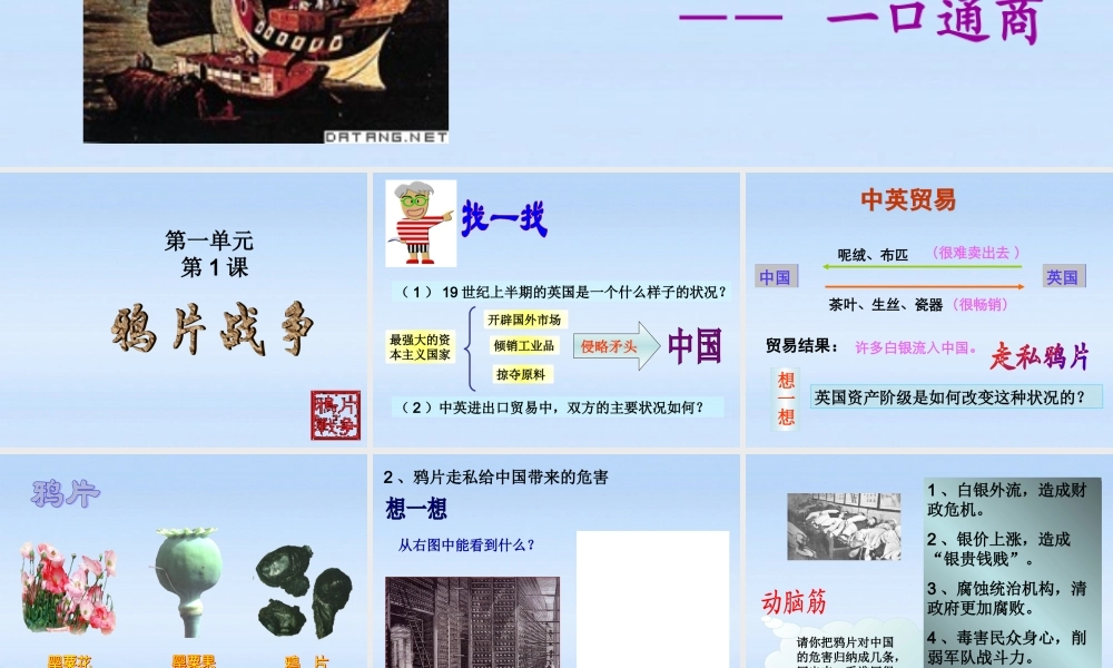 八年级历史上册 第1课(鸦片战争)课件 人教新课标版 课件