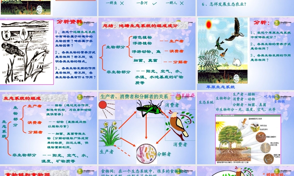 中学七年级生物上册 1.2.4 生态系统课件3 新人教版 课件