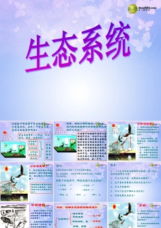 中学七年级生物上册 1.2.4 生态系统课件3 新人教版 课件