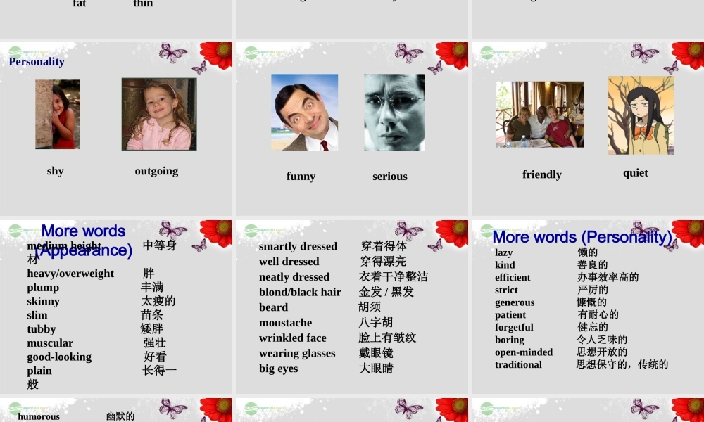 九年级英语全册 Unit 2 I used to be afraid of the darkSection A课件 人教新目标版 课件