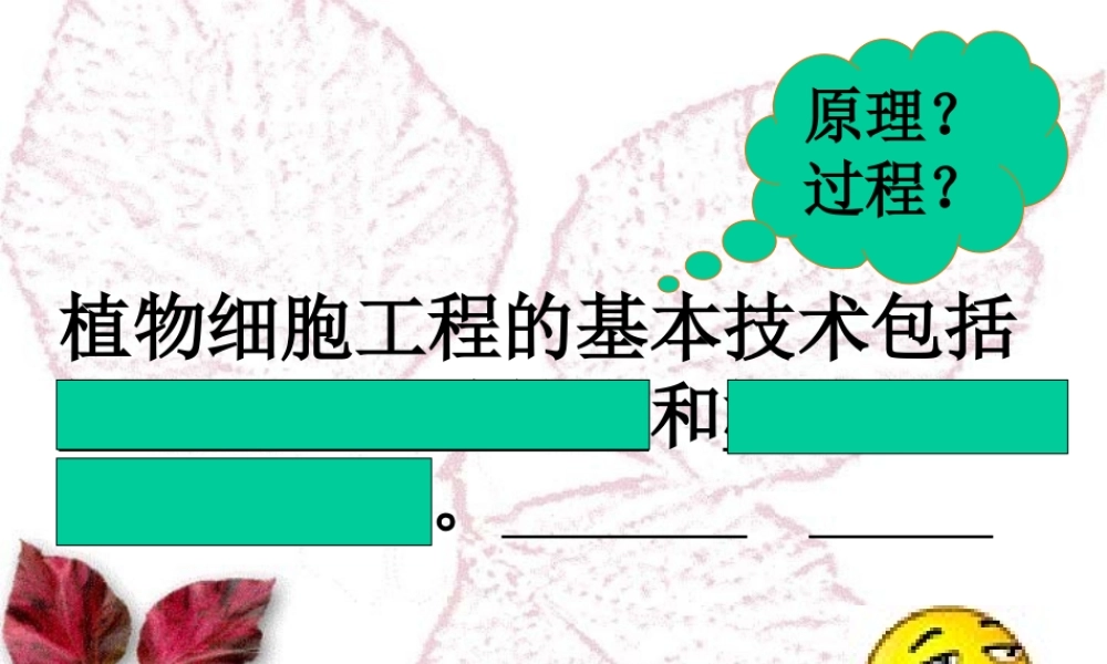 植物细胞工程的实际应用公开课