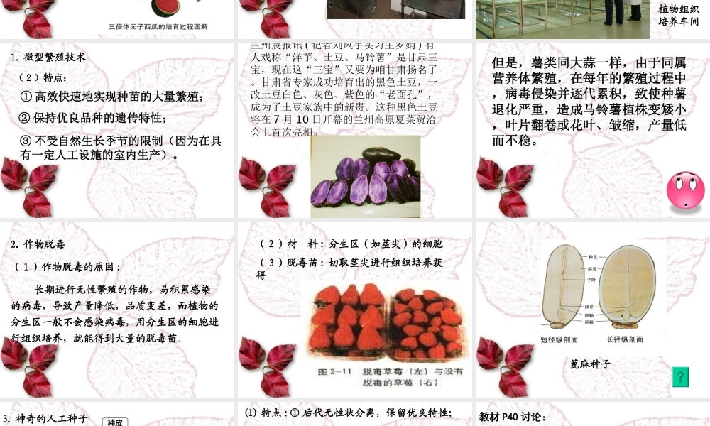 植物细胞工程的实际应用公开课