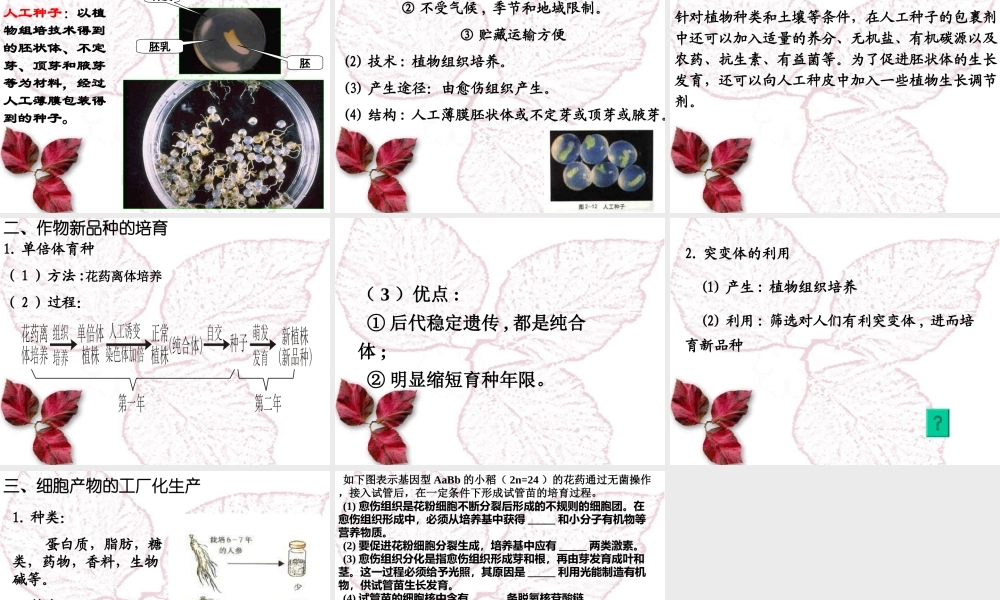 植物细胞工程的实际应用公开课