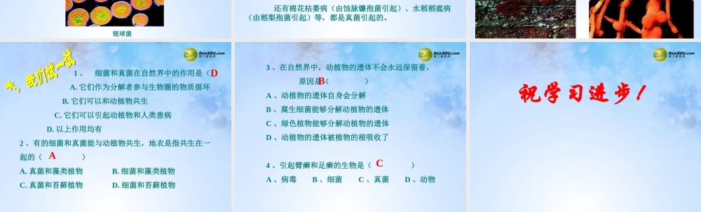 八年级生物上册 第5单元 第5章 第1节 细菌和真菌在自然界中的作用课件 新人教版 课件