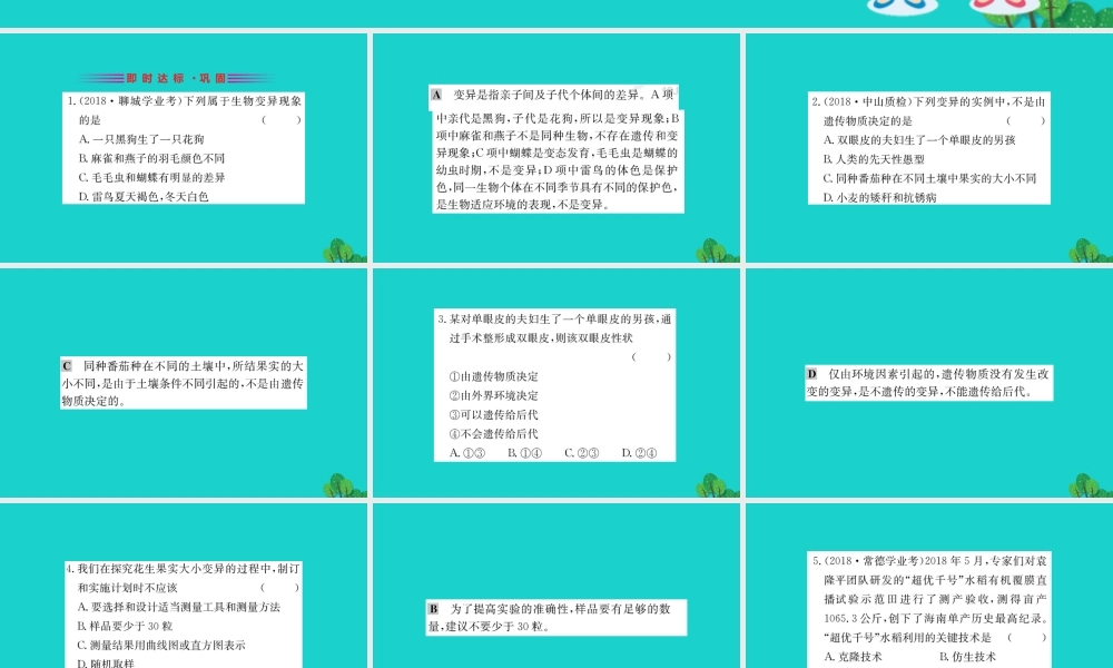 八年级生物下册 7.2.5 生物的变异习题课件(新版)新人教版 课件