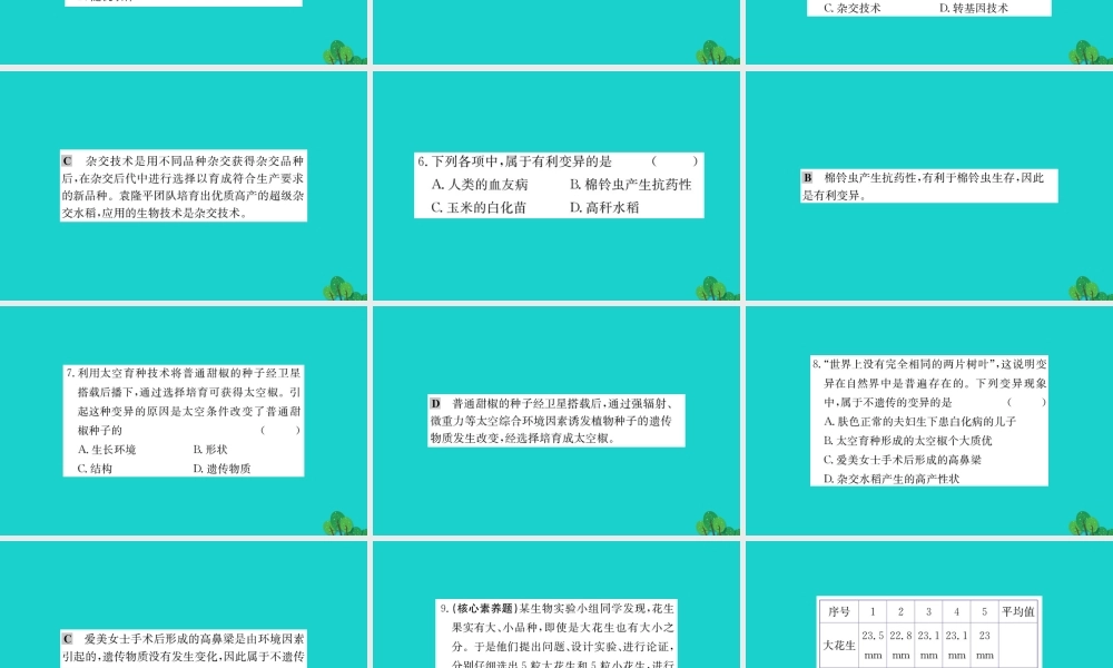 八年级生物下册 7.2.5 生物的变异习题课件(新版)新人教版 课件