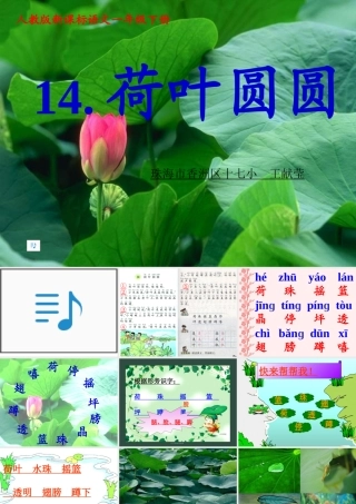 荷叶圆圆PPT