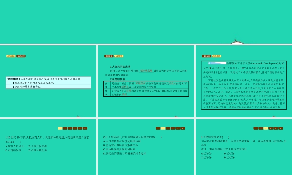 九年级政治全册 第二单元 关注自然 关注人类 第一节 共同的问题 共同的选择 第2框 可持续发展的必然选择课件 湘教版 课件