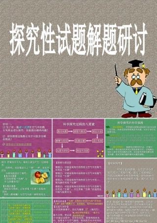 中考化学专题研究 探究性试题解题研讨 新课标 试题