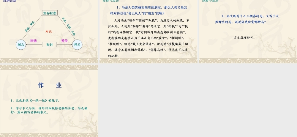 走一步,再走一步(第1课时)