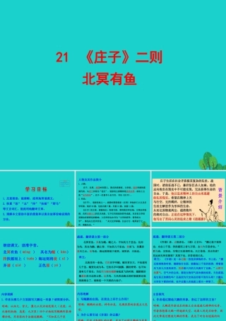 八年级语文下册 第六单元21(庄子)二则 北冥有鱼课件 八年级语文下册 第六单元 21(庄子)二则课件+素材 新人教版 八年级语文下册 第六单元 21(庄子)二则课件+素材 新人教版