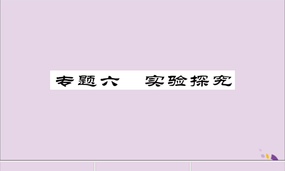 中考化学总复习 第二轮 专题训练 提升能力 专题六 实验探究课件