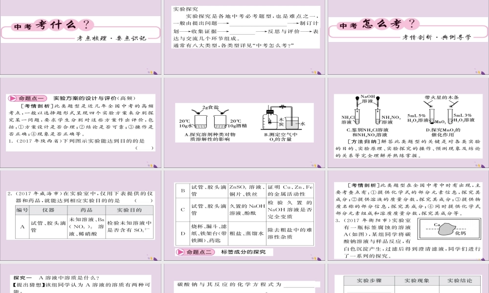 中考化学总复习 第二轮 专题训练 提升能力 专题六 实验探究课件