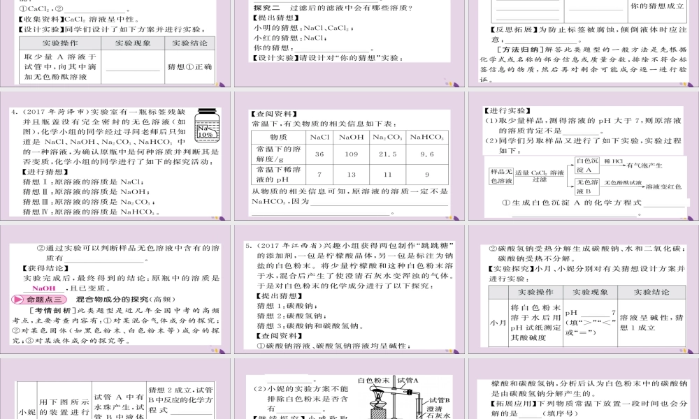 中考化学总复习 第二轮 专题训练 提升能力 专题六 实验探究课件