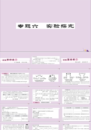 中考化学总复习 第二轮 专题训练 提升能力 专题六 实验探究课件