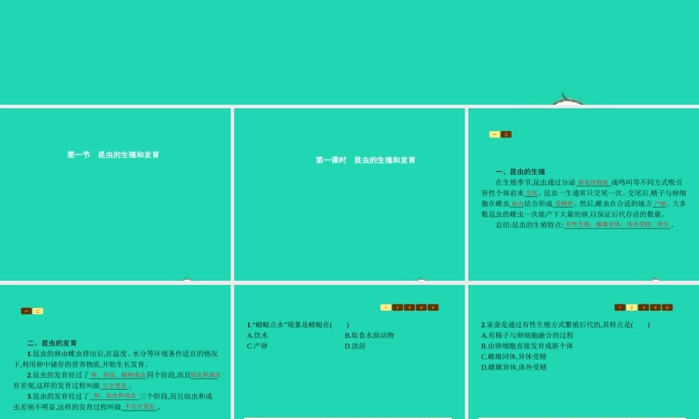 八年级生物上册 第四单元 第二章 第一节 昆虫的生殖和发育(第1课时 昆虫的生殖和发育)课件 (新版)济南版 课件