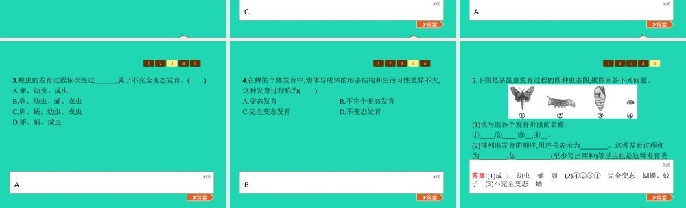 八年级生物上册 第四单元 第二章 第一节 昆虫的生殖和发育(第1课时 昆虫的生殖和发育)课件 (新版)济南版 课件