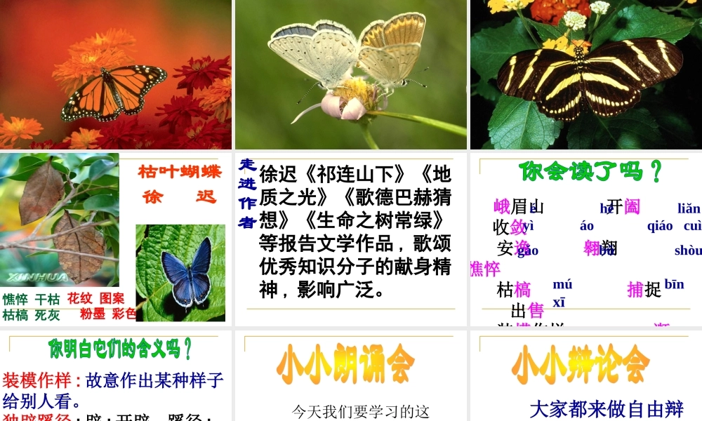 说明文对象、说明内容_说明特征